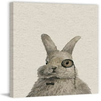 Зајак, библиотекарското сликарство печати на завиткано платно