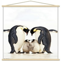 Група Царски Пингвини Ѕид Постер Со Магнетна Рамка, 22.375 34