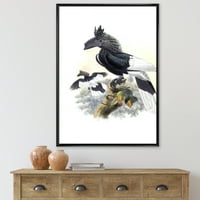 DesignArt 'Антички австралиски птици xvi' Традиционална врамена платно wallидна уметност печатење