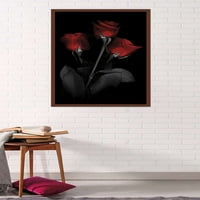 Црвена Роза Ѕид Постер, 22.375 34