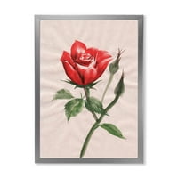 DesignArt „Антички црвен роза цвет II“ Традиционално врамено уметничко печатење