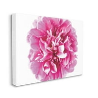 Tupleple Industries розови поп цветни ливчиња розови кривини фотографии од платно wallидна уметност дизајн од Елис Катарал, 30 40