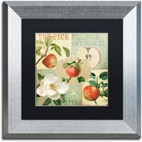 Трговска марка ликовна уметност Apple Blossoms II Canvas Art by Color Bakery Black Matte, сребрена рамка
