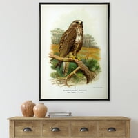 DesignArt 'Ancient Bird Life IX' Традиционална врамена платна wallидна уметност печатење