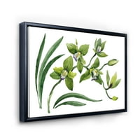 DesignArt „Зелени орхидеи цвеќиња на бело“ традиционално врамено платно wallидно печатење