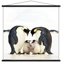Група Царски Пингвини Ѕид Постер Со Дрвена Магнетна Рамка, 22.375 34